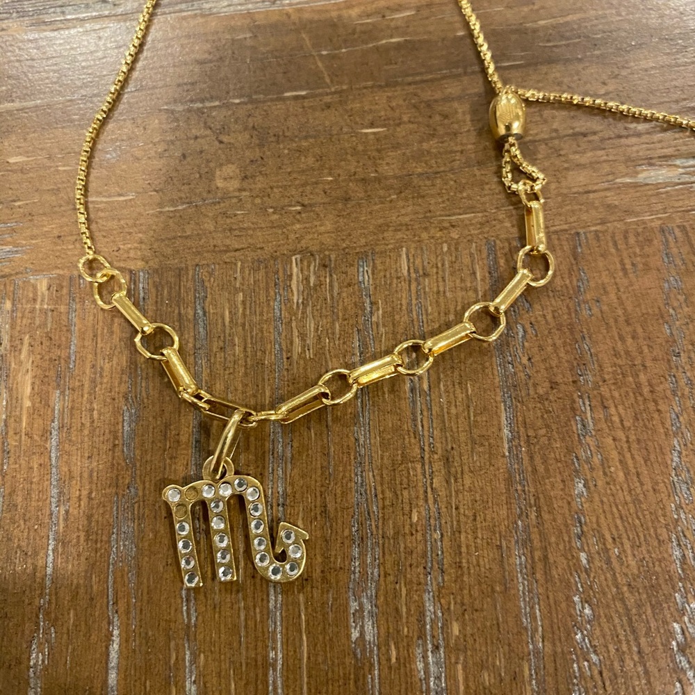 Alex & Ani gold link bracelet with zodiac charm
